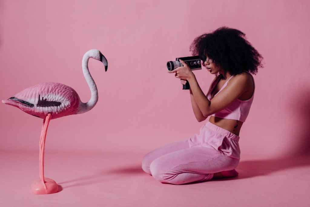 woman in pink crop top and jogging pants recording a pink flamingo