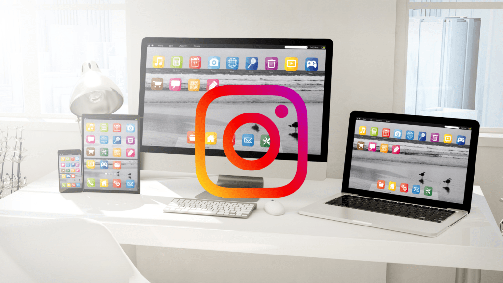 Instagram insights on desktop with Pallyy
