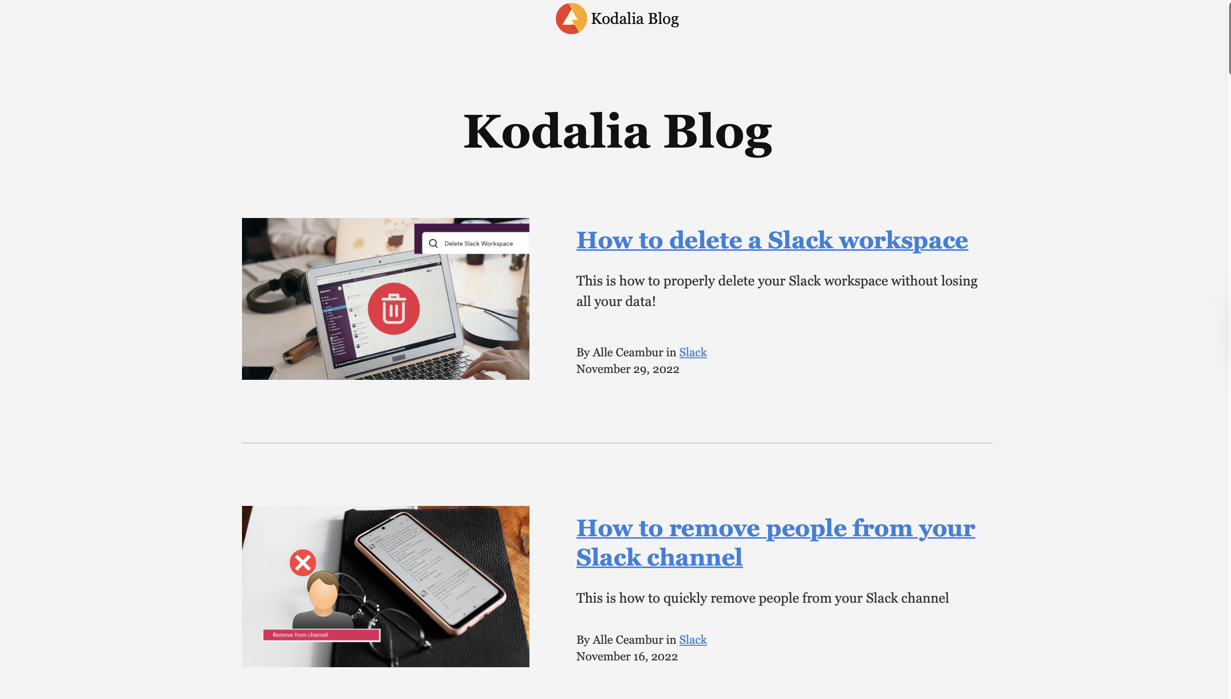 Kodalia blog - example of clients
