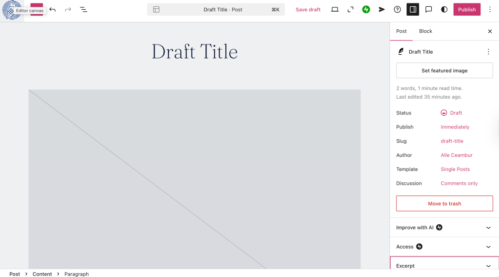 Post setting pannel in WordPress